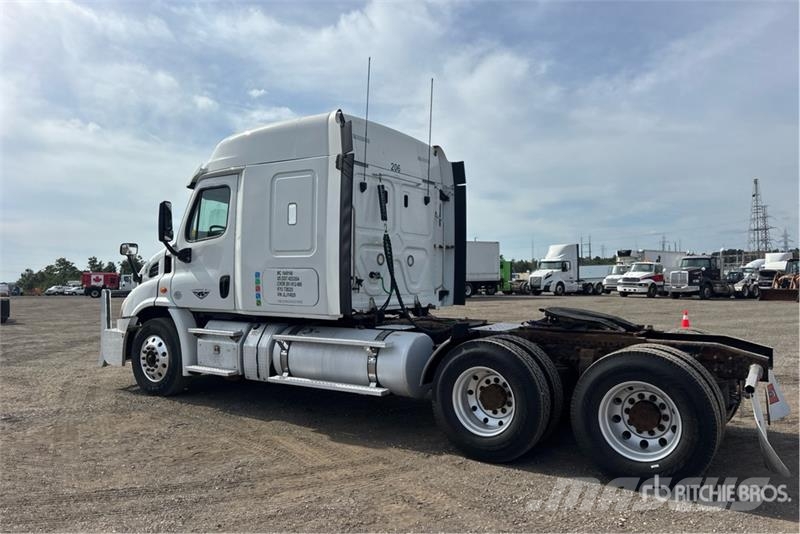 Freightliner Cascadia 113 Motrici e Trattori Stradali