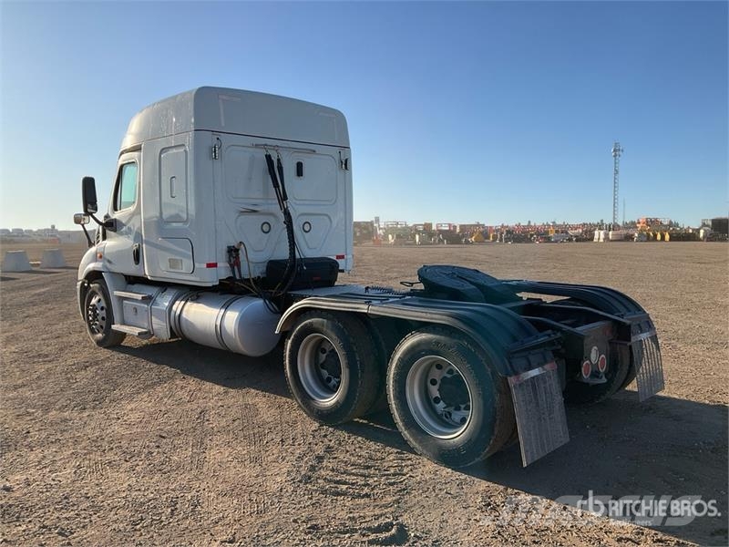 Freightliner Cascadia 113 Sattelzugmaschinen