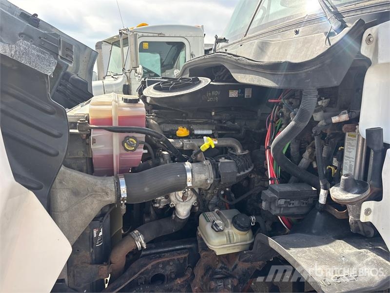 Freightliner Cascadia 113 Motrici e Trattori Stradali