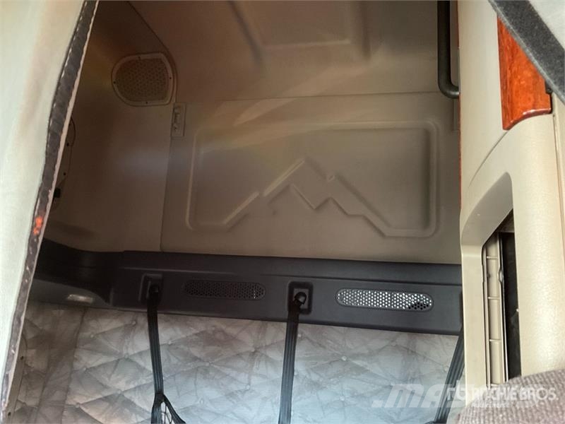 Freightliner Cascadia 125 6x4 Evolution T/A Sleeper Truck Tract Влекачи