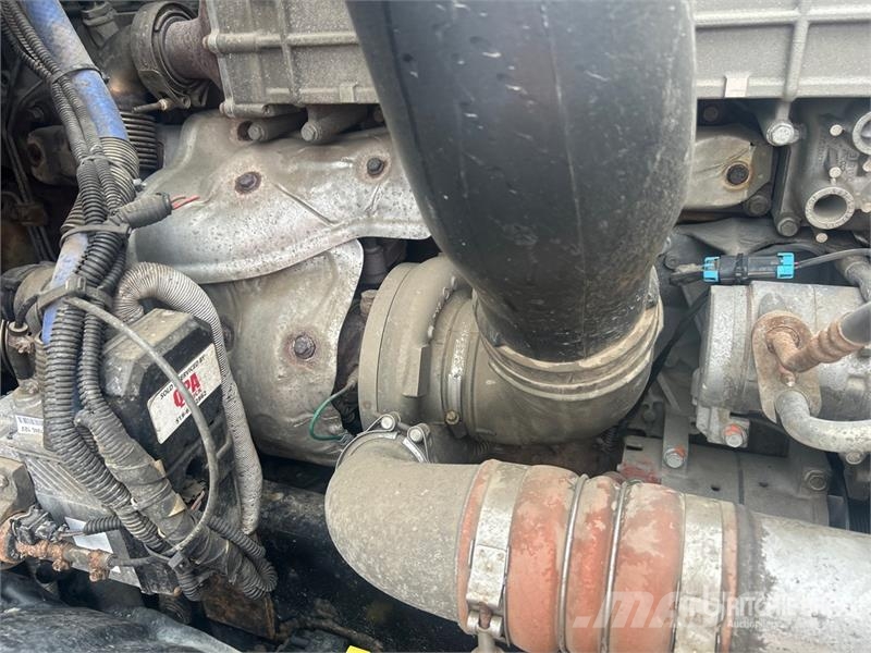 Freightliner Cascadia 126 Motrici e Trattori Stradali