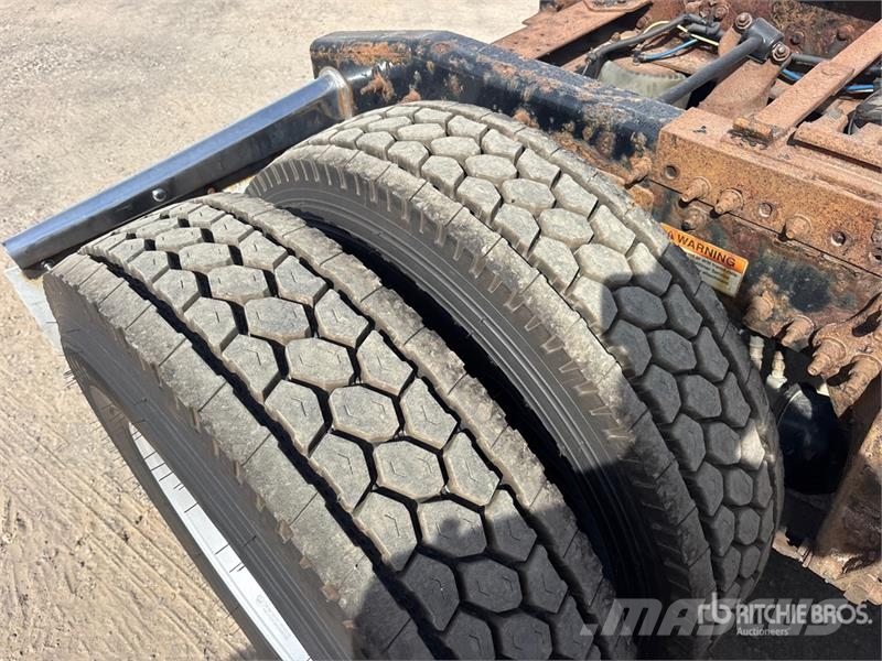 Freightliner Cascadia 113 Motrici e Trattori Stradali
