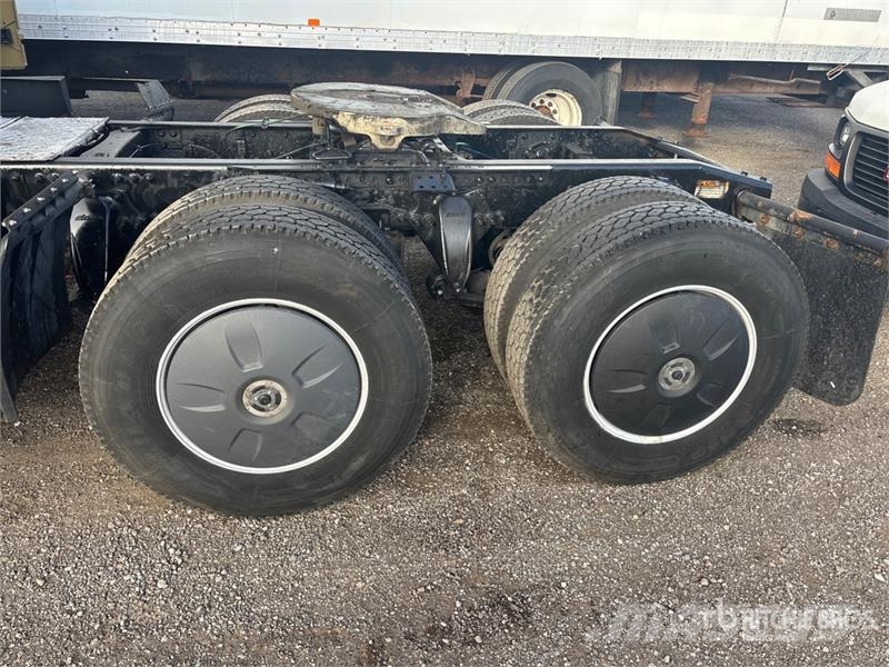 Freightliner Cascadia 113 Motrici e Trattori Stradali