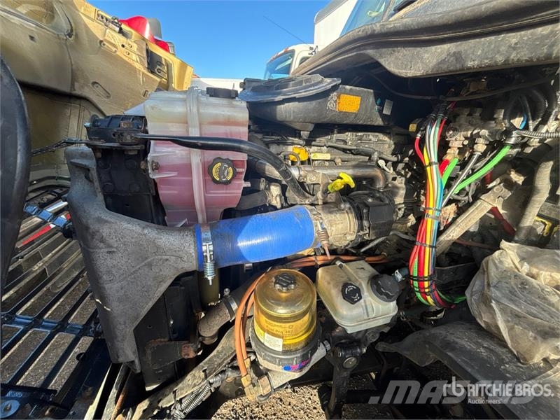 Freightliner Cascadia 113 Motrici e Trattori Stradali