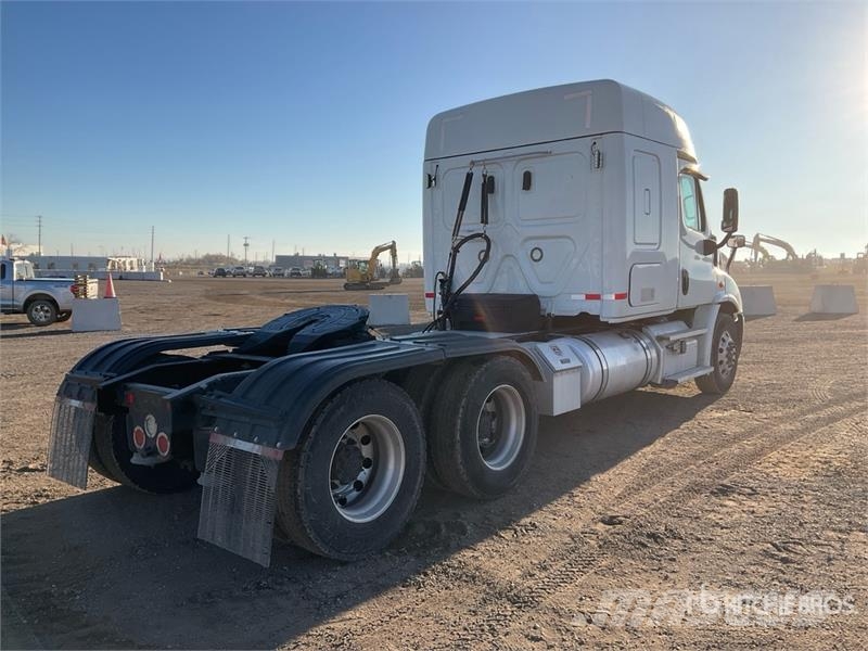 Freightliner Cascadia 113 Sattelzugmaschinen