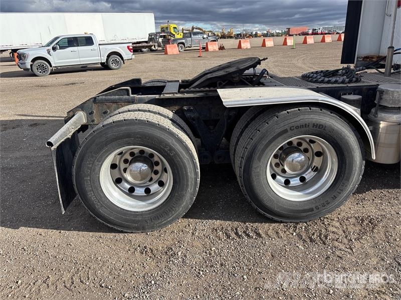 Kenworth T800 Sattelzugmaschinen