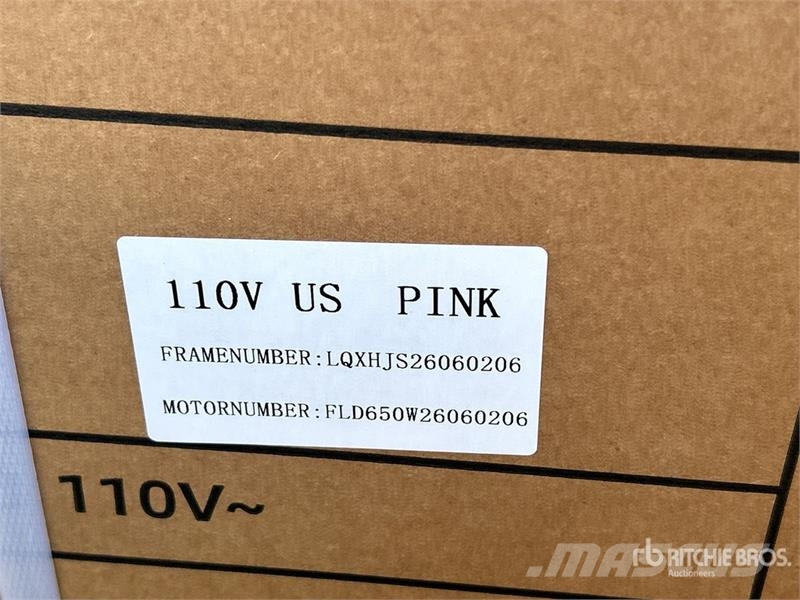 MGC40-PINK 3 TT E-Trike Mini Scooter (Unused) Visureigiai