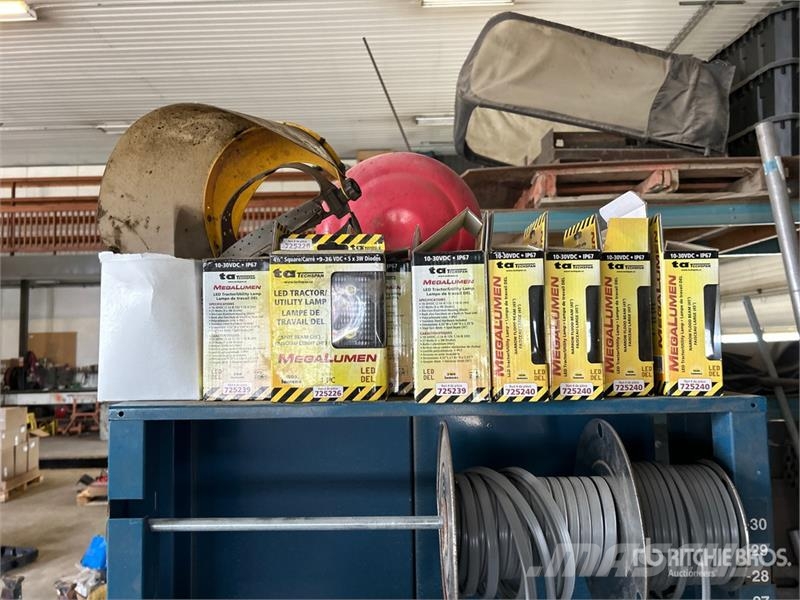 Quantity of Assorted Bolts/Assorted Lights 其他組件