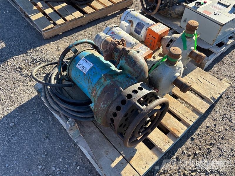 Quantity of Electric Pumps مضخات المياه