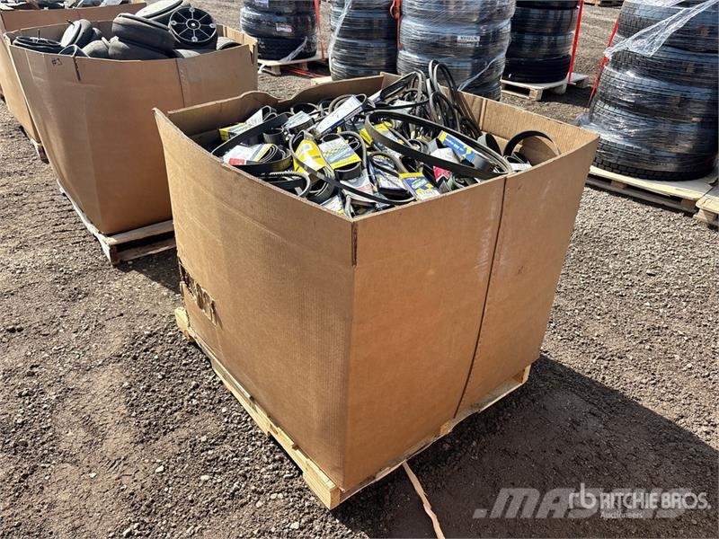 Quantity of Gatorback Belts Drugi deli