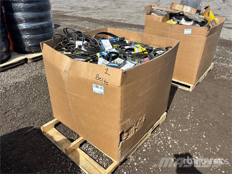 Quantity of Gatorback Belts Drugi deli
