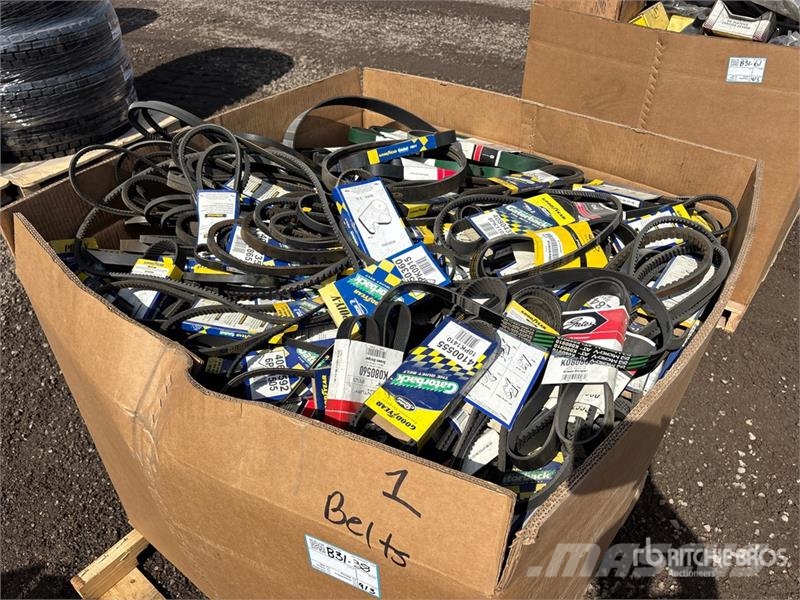 Quantity of Gatorback Belts Drugi deli