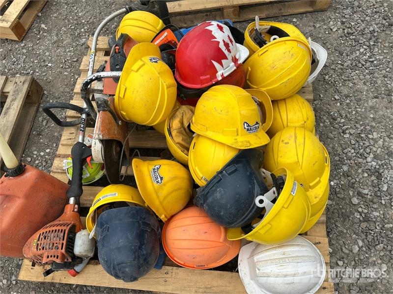  Quantity of Hard Hats Other components