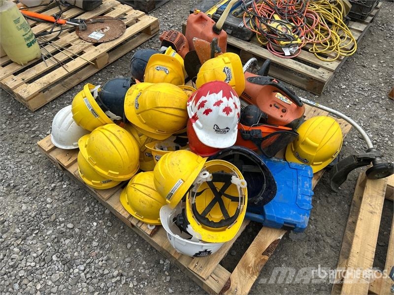  Quantity of Hard Hats Other components