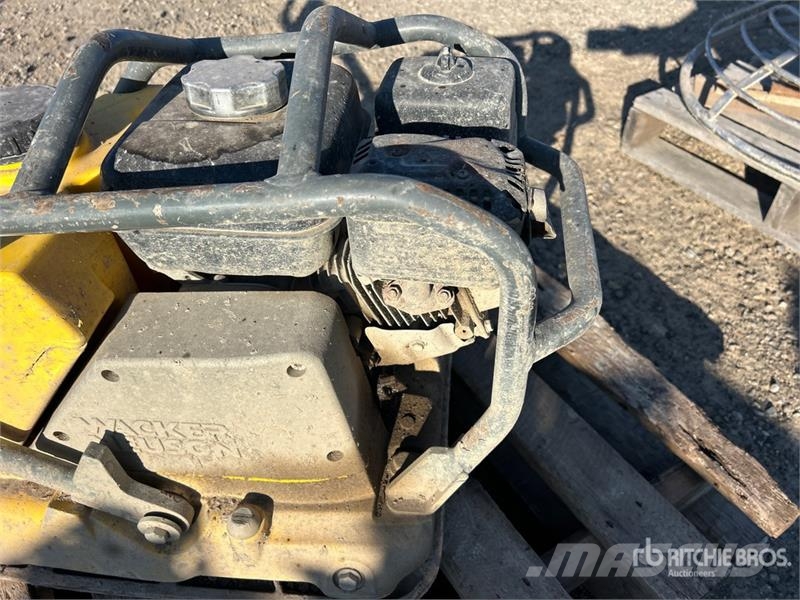 Wacker Neuson Vibratory Plate Compactor دكاكات أفقية