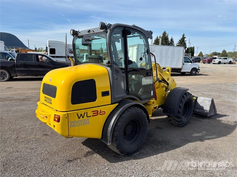 Wacker Neuson WL36 Wheel Loader لوادر بعجل