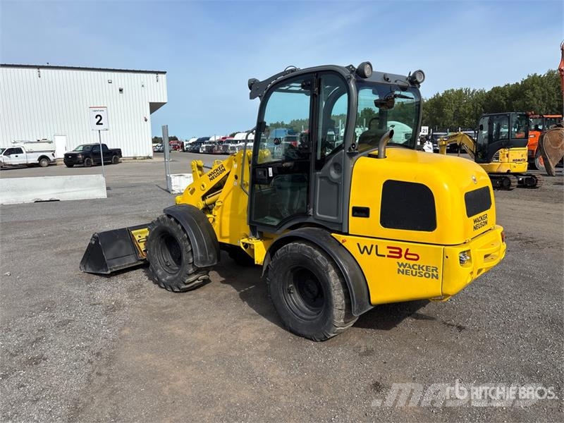 Wacker Neuson WL36 Wheel Loader لوادر بعجل