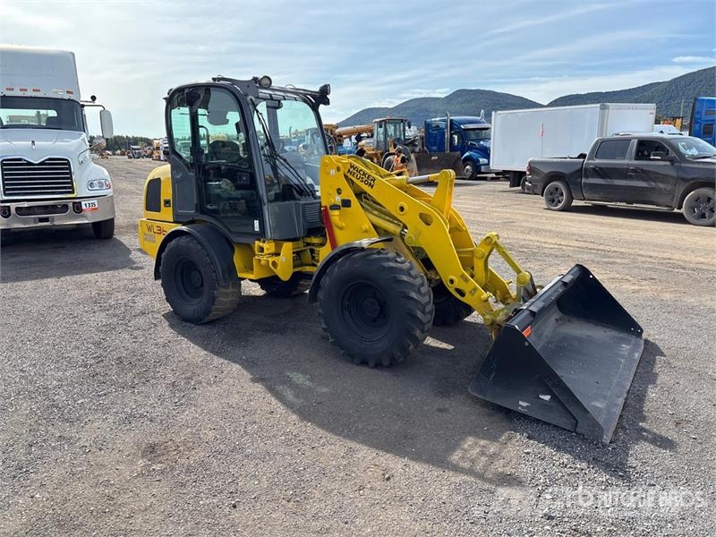 Wacker Neuson WL36 Wheel Loader لوادر بعجل
