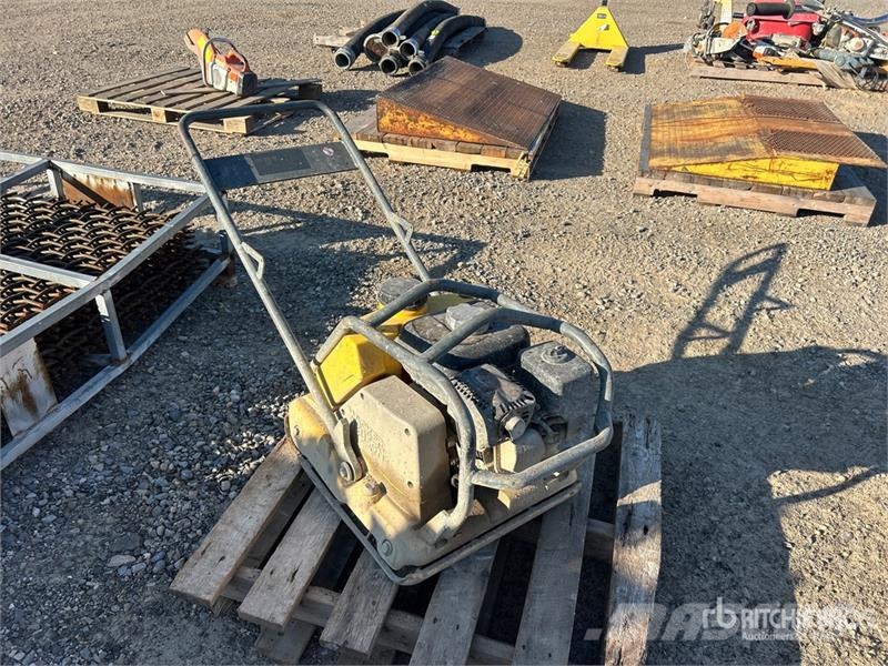 Wacker Neuson WP1550AW Vibratory Plate Compactor دكاكات أفقية