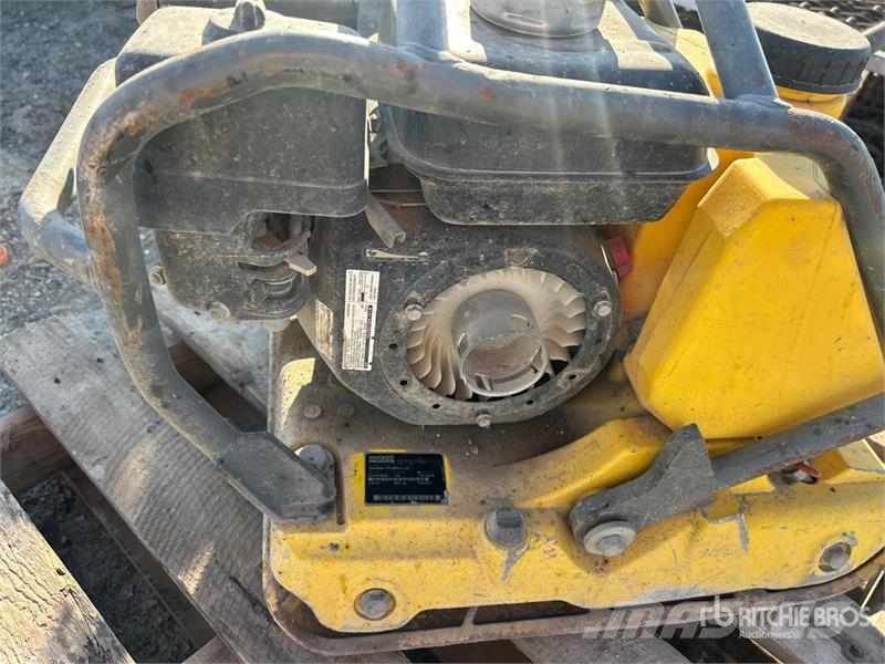 Wacker Neuson WP1550AW Vibratory Plate Compactor دكاكات أفقية