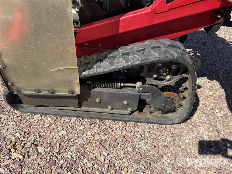 Barreto 30-SG Tracked Rogneuse De Souche Stump Grinder Gradas vibratorias / rotocultivadoras
