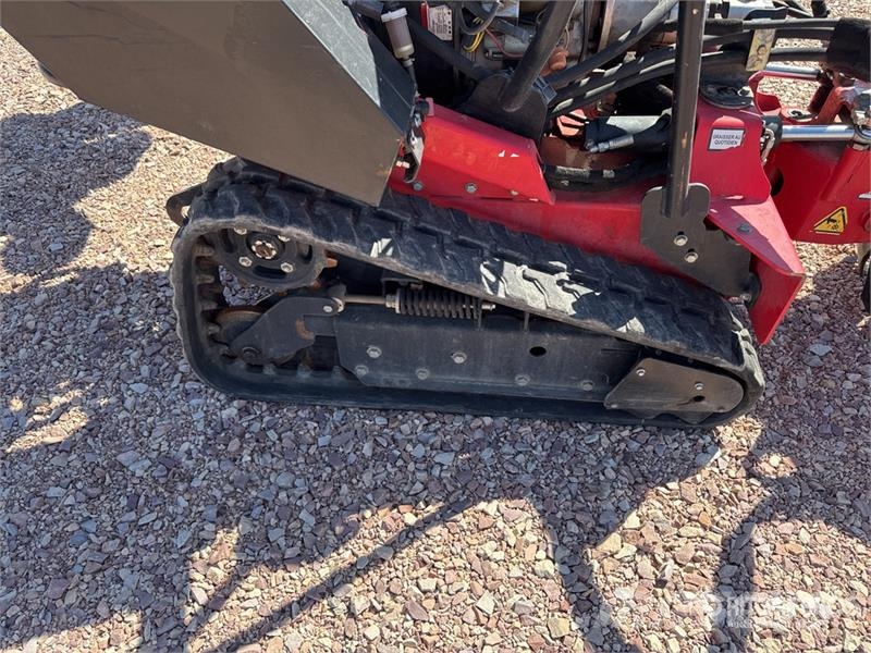Barreto 30-SG Tracked Rogneuse De Souche Stump Grinder Gradas vibratorias / rotocultivadoras