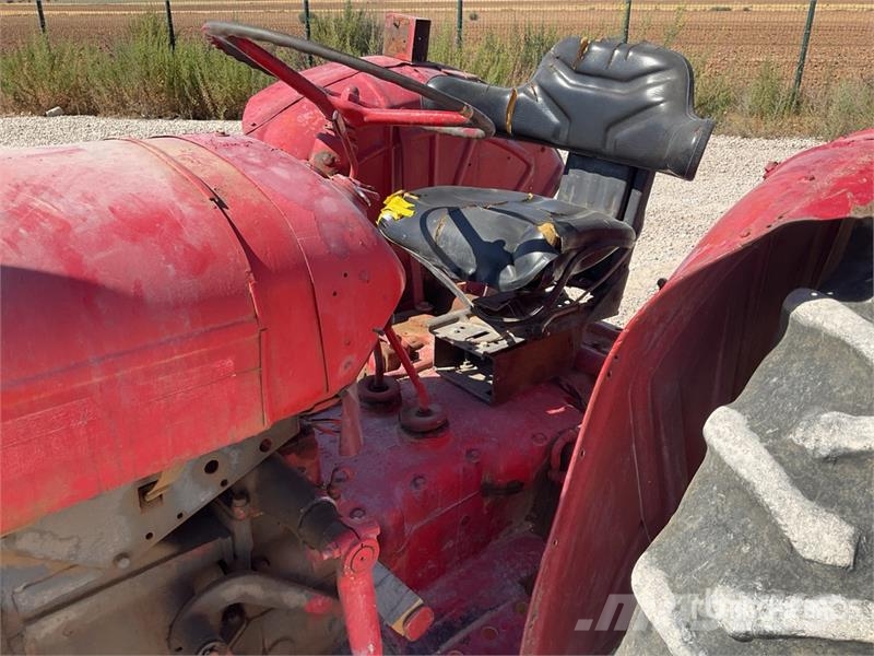 David Brown Modelo 65 Antique Tractor (Inoperable) Traktoriai