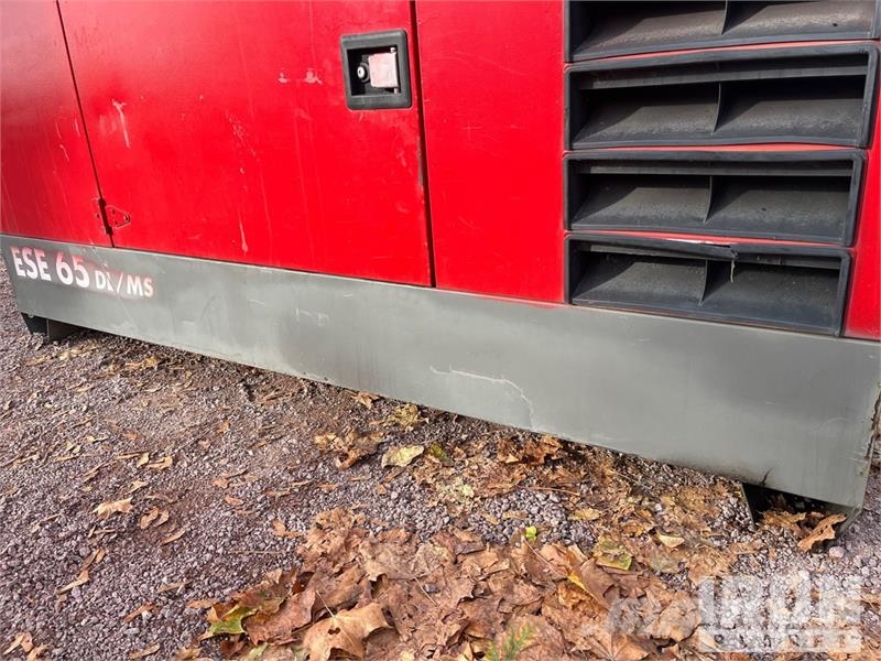 Endress ESE65DL/MS/PPP Skid-Mounted Generator Set Dieselgeneratorer