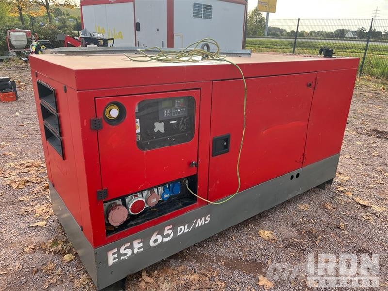 Endress ESE65DL/MS/PPP Skid-Mounted Generator Set Dieselgeneratorer