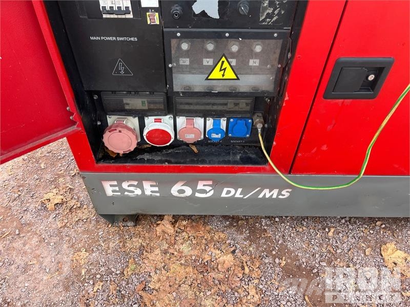 Endress ESE65DL/MS/PPP Skid-Mounted Generator Set Dieselgeneratorer