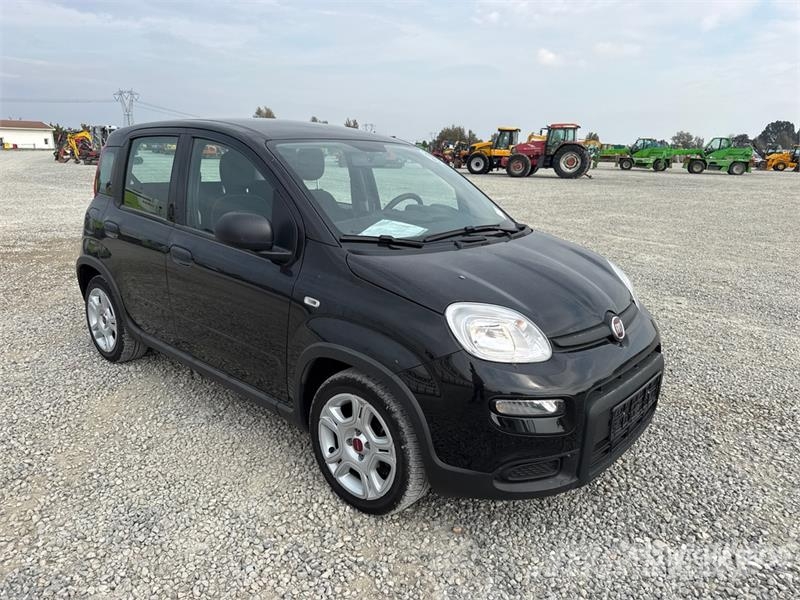 Fiat Panda 1.0 52 KW Mild/Hybrid Automobile Auto's