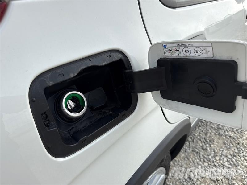 Fiat Panda 1.0 52 KW Mild/Hybrid Automobile Auto's