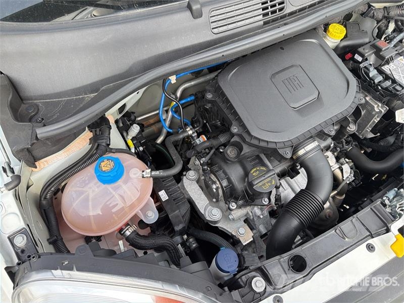 Fiat Panda Hybrid 1.0 52 KW Mild/Hybrid Automobile Auto's