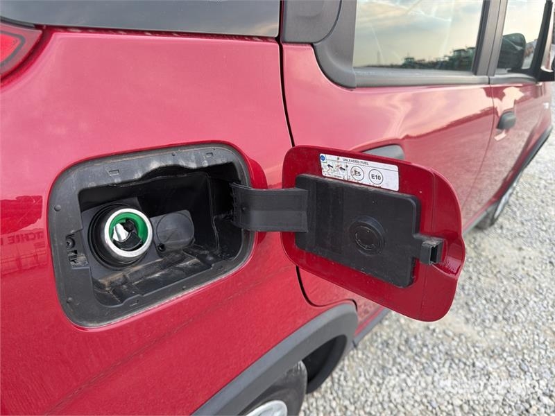 Fiat Panda Hybrid 1.0 52 KW Mild/Hybrid Automobile Auto's