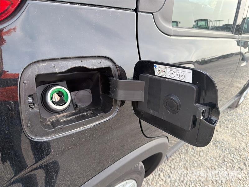 Fiat Panda Hybrid Automobile Auto's