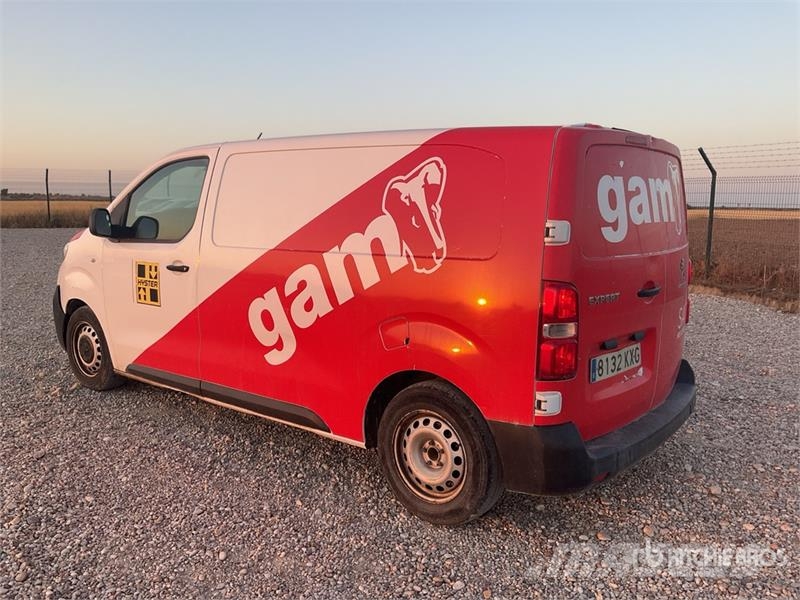 Peugeot Expert Service Cargo Van شاحنة مقفلة