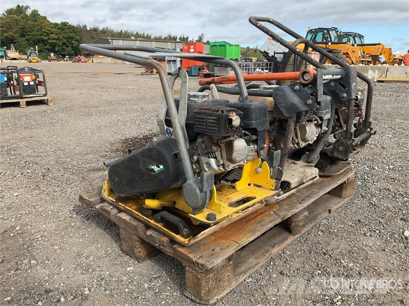 Quantity of (3) 2020 Wacker Neuson VP130A Vibrator Vibratori