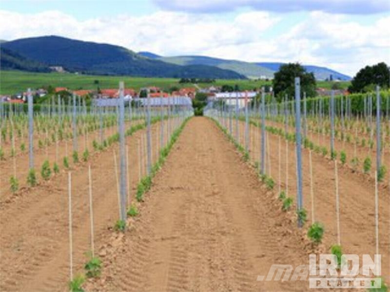 Quantity of (30000) Stakes 0.80m (green) ماكينات زراعية - غير ذلك