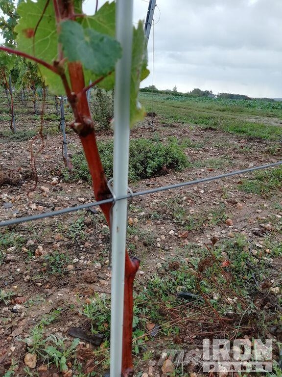 Quantity of (36000) Stakes 0.8 m (grey) ماكينات زراعية - غير ذلك