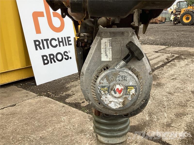 Wacker Neuson BS50-2 Stampere