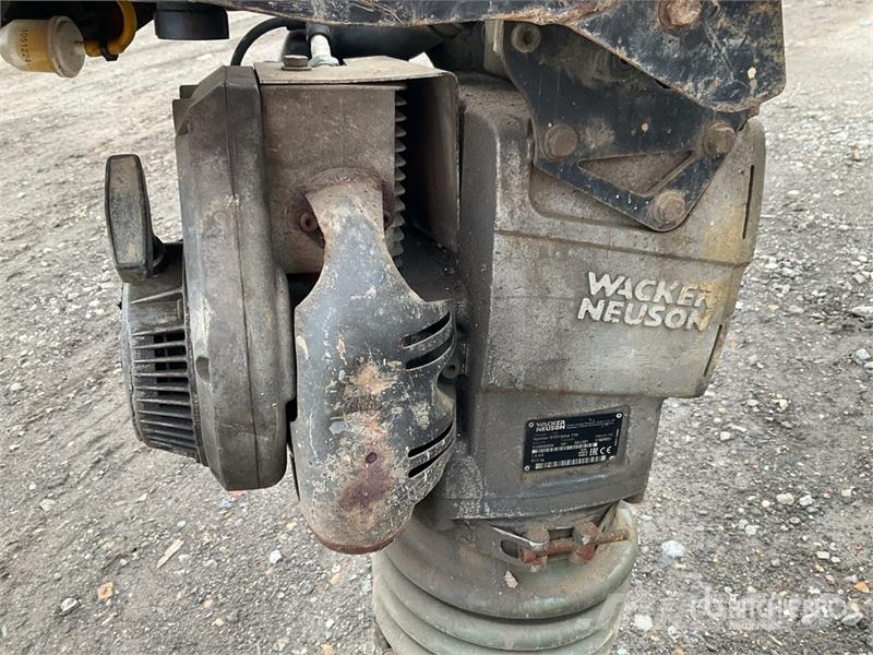Wacker Neuson BS60-2I Tampers