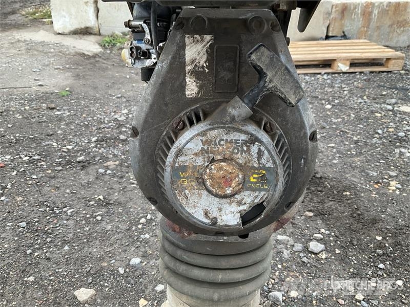 Wacker Neuson BS60-2I Tampers