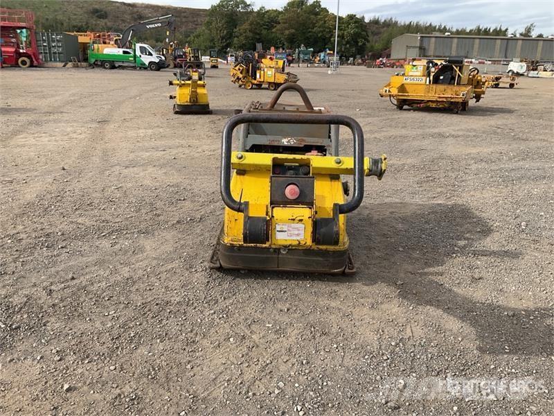 Wacker Neuson DPU100-70 Trench Compactor Kompaktorji tal