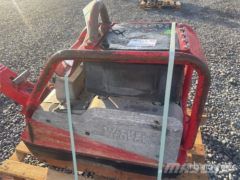 Wacker Neuson DPU5545 Quantity of Rental Equipment Vibratory Pla Віброплити та вібротрамбовки