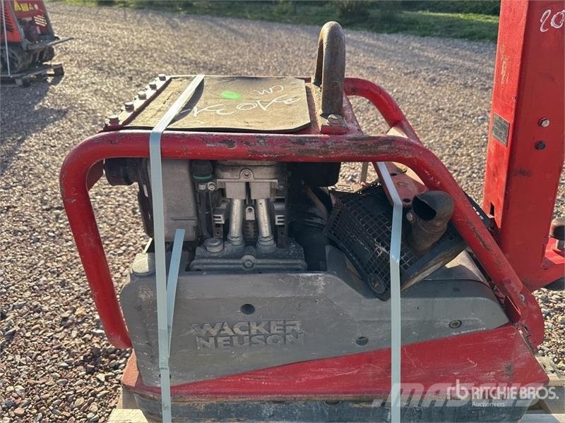 Wacker Neuson DPU5545Hech Plaque Vibrante Vibratory Plate Compac Vibradores