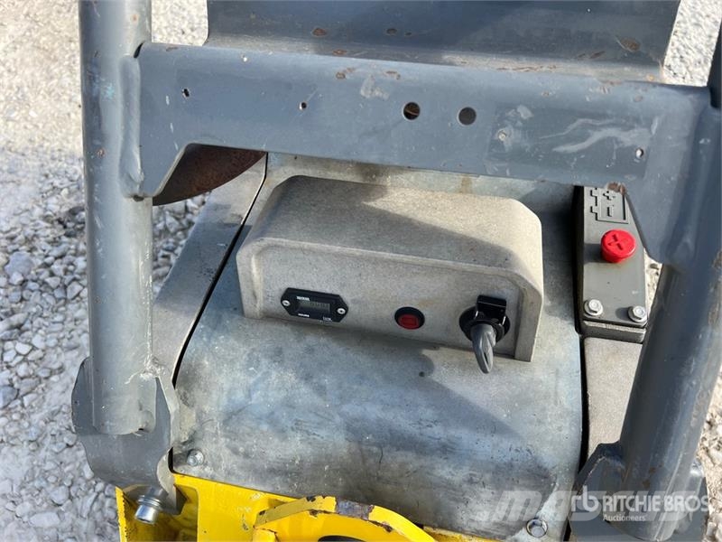 Wacker Neuson DPU5545Heh Vibratory Plate Compactor دكاكات أفقية