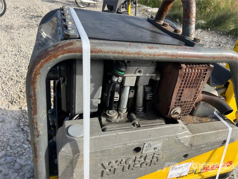 Wacker Neuson DPU5545Heh Vibratory Plate Compactor دكاكات أفقية