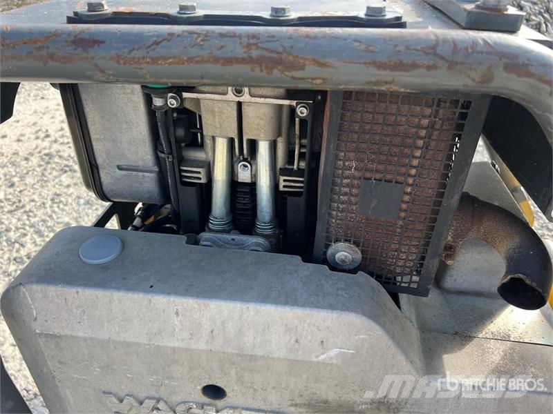 Wacker Neuson DPU6555-HE Vibratory Plate Compactor دكاكات أفقية