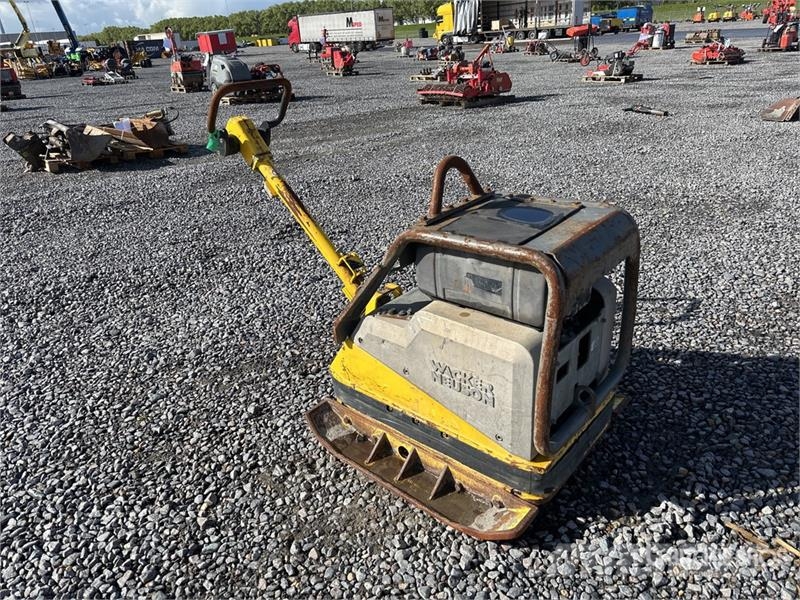Wacker Neuson DPU6555Heap Vibratory Plate Compactor プレートコンパクター