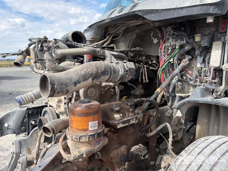 Freightliner Cascadia 125 Tractocamion con Dormitorio (INOPERAB Cabezas tractoras